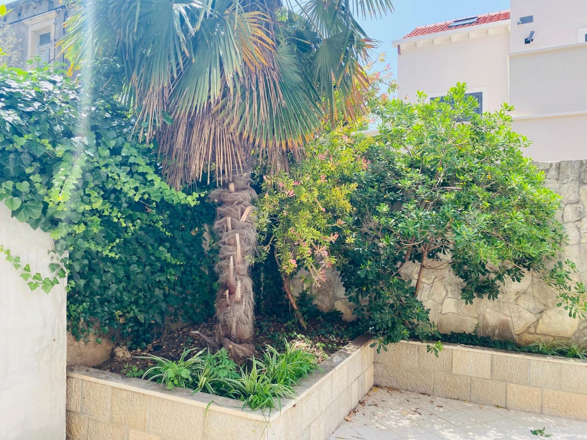 Pafi Apartment دوبروفينك المظهر الخارجي الصورة